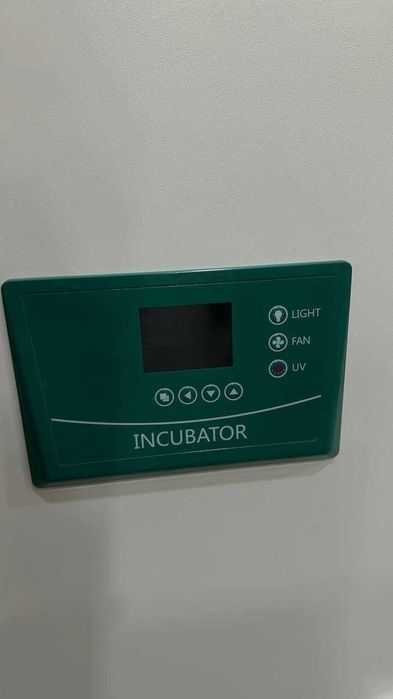 Инкубатор лабораторный DH125L, новый. Производитель: FAITHFUL