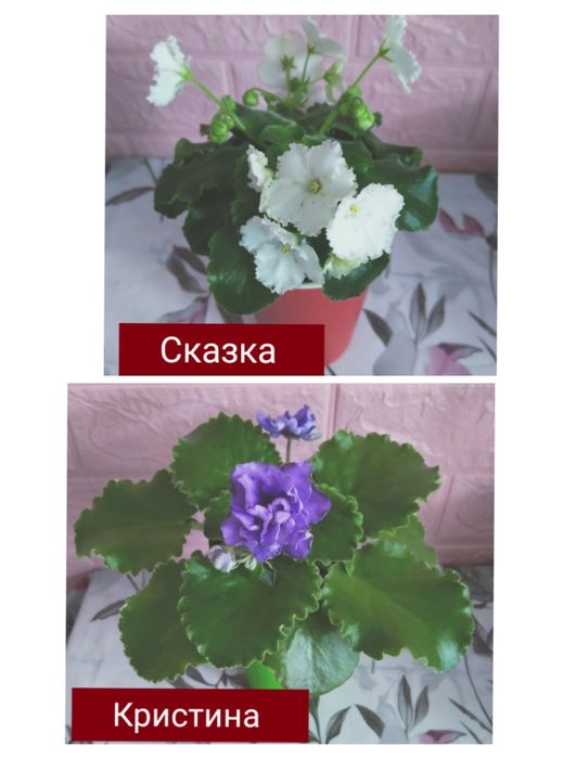 Красивые,разноцветные подоконники!!!
