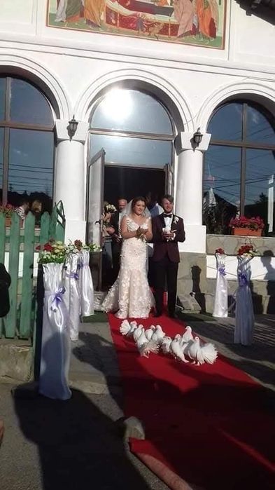 Fum greu, porumbei, gheata carbonica, dj . Etc