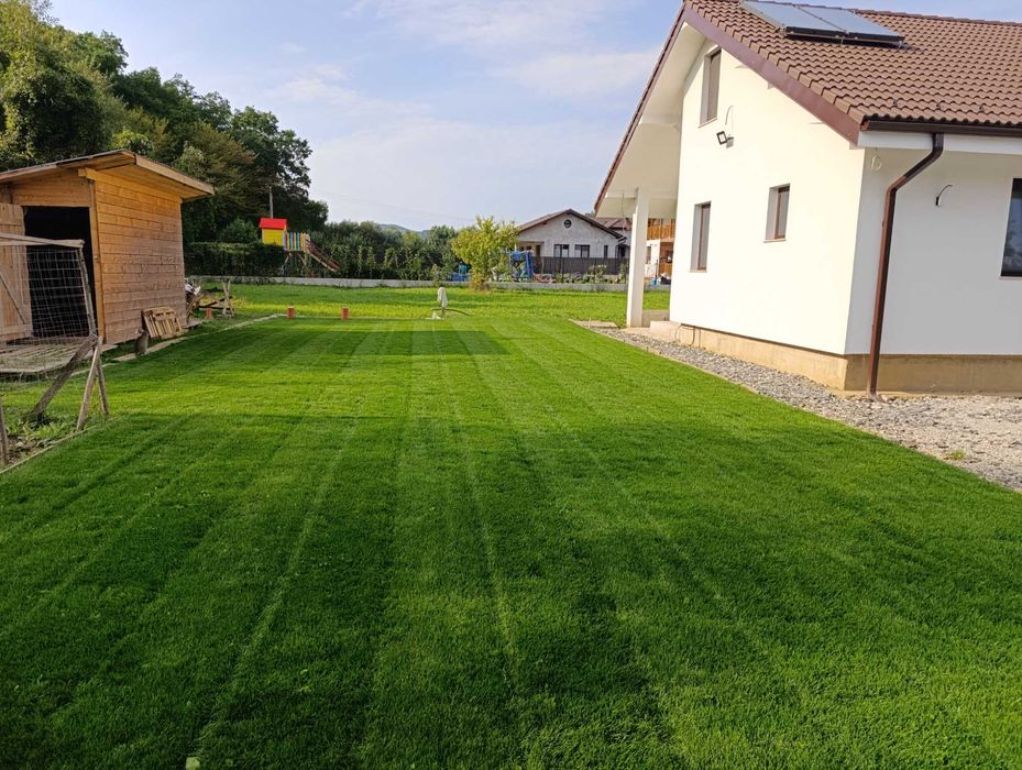 Tuns scarificat Gazon Bistrița, intretinere gazon