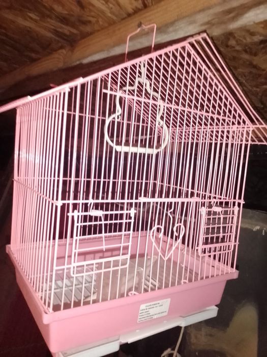 Colivie pentru animalutul vostru