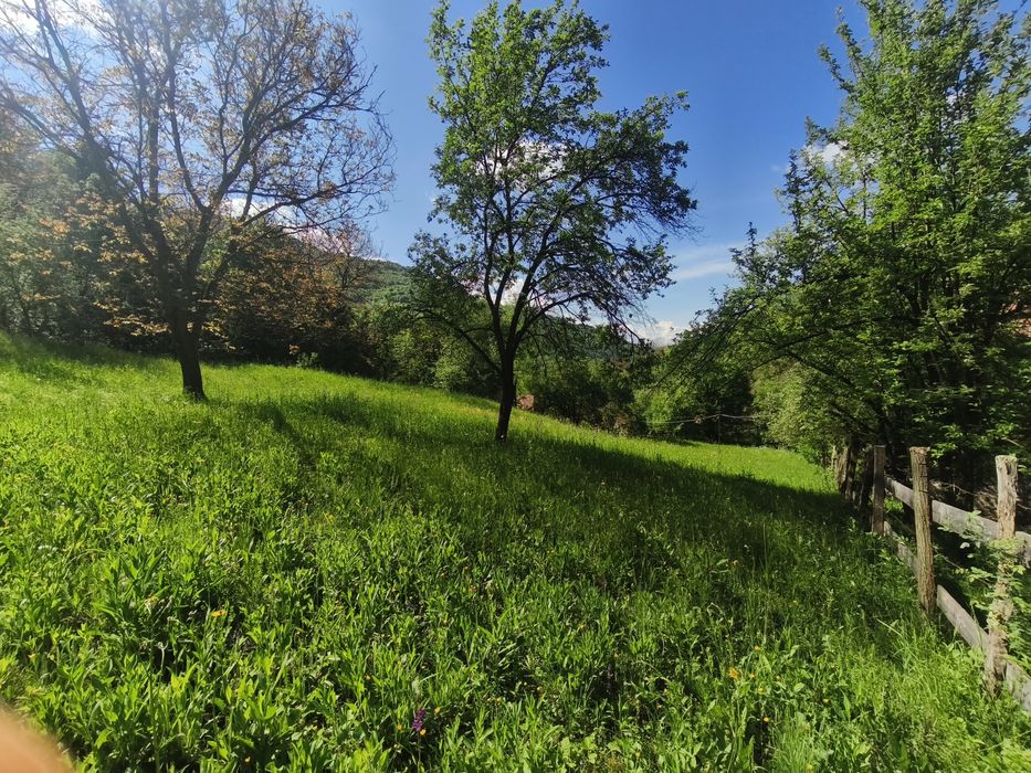 Teren Cabana Ocolis Alba – langa rau de munte, 4000 mp, SUPER OFERTA