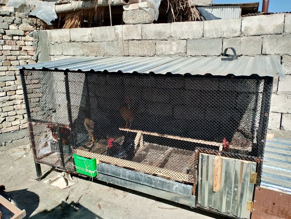 Товуқлар учун катак