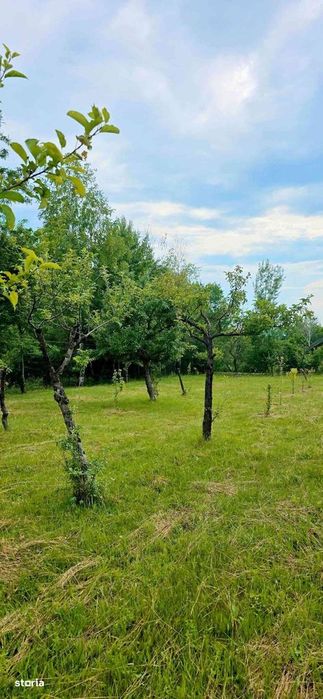 Casă de Vacanță Teren 2.952 mp Cerna Vaideeni Jud  Vâlcea 70.000 E