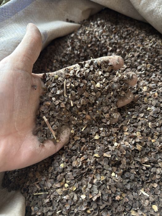 Отход гречки в мешках