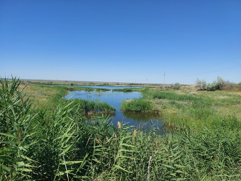 Продам фазенду. Рыбоводное хозяйство.