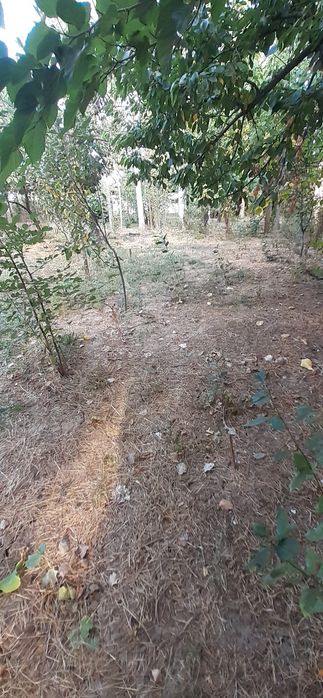 Йер сотлади нархи