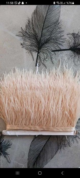 Щраусови,петелски ,кокоши пера