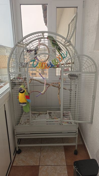 Pereche Marele Alexandru