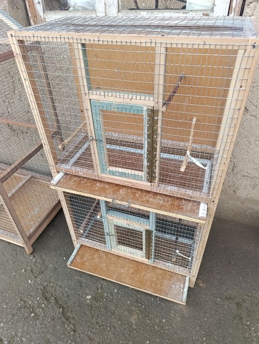 Кафас тути кушларга