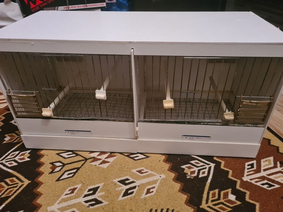 Colivii Frumoase Mari Ieftine