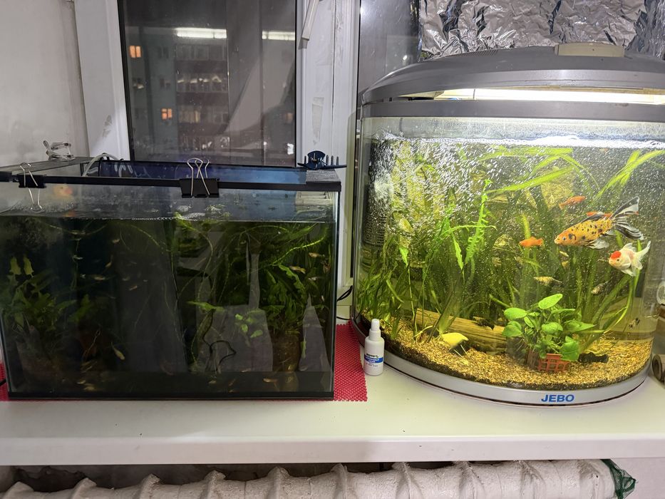 Продам аквариумы квадратный , овальный