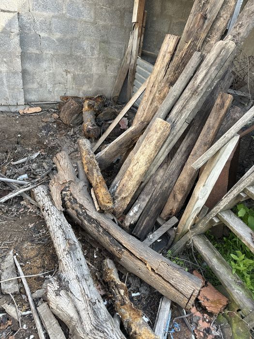 Дрова бесплатно. Самовывоз