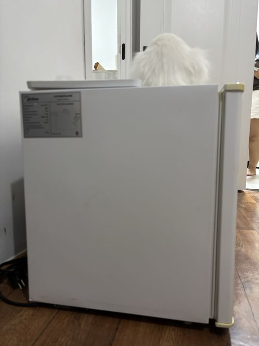 Однокамерный холодильник Midea HS-65LN