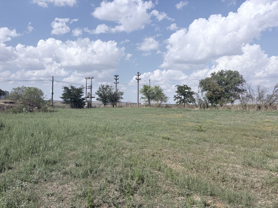 Casă la țară cu teren 4.200 mp – Casicea, comuna Amzacea.  Sună acum la numărul de telefon de mai jos pentru mai multe detalii! 0768477531