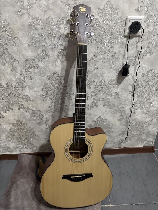 Гитара Rockstel F13CN