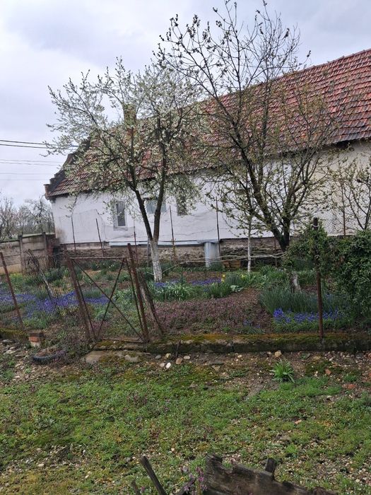 Casă de vânzare Cutina