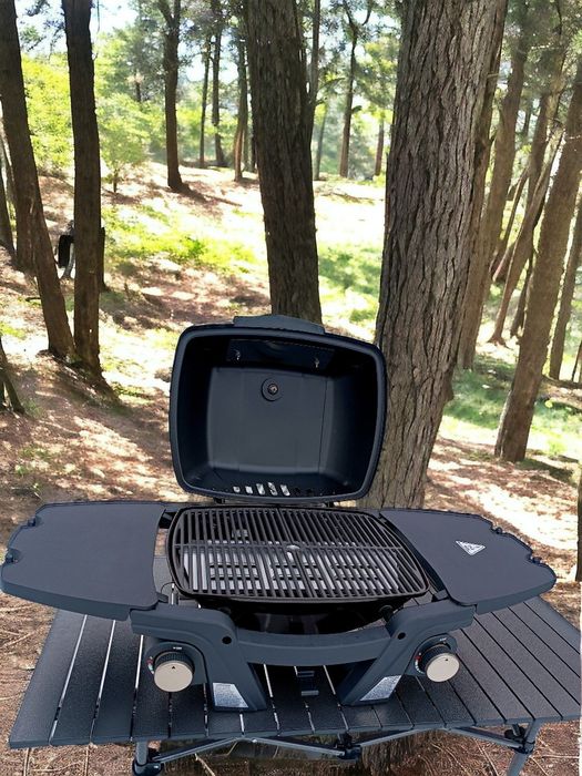 Газовый гриль, gas grill