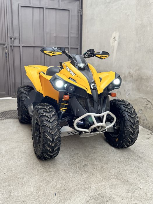 Can am renegade 500