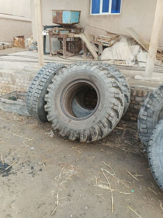 Natasha Shinalar sotiladi