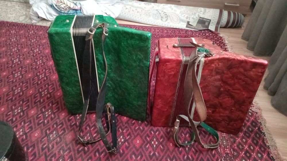 Аккордеон 2 штук