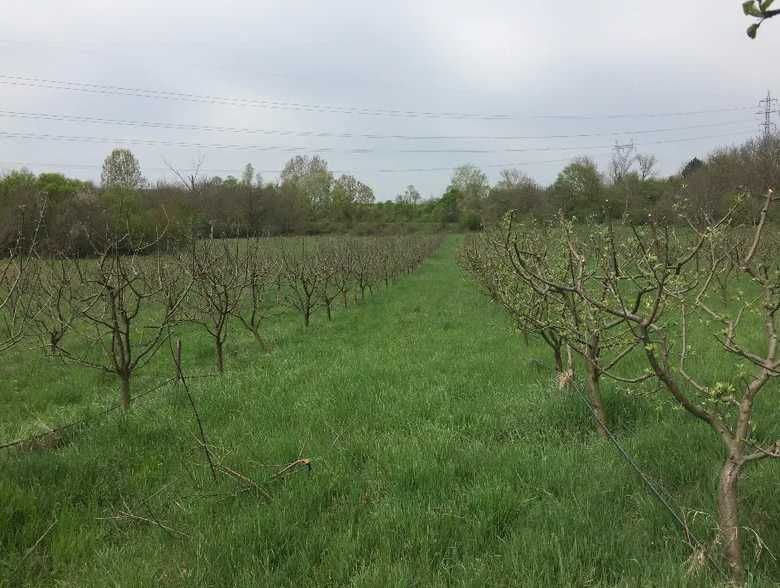 Земеделска земя с водоем и капково напояване