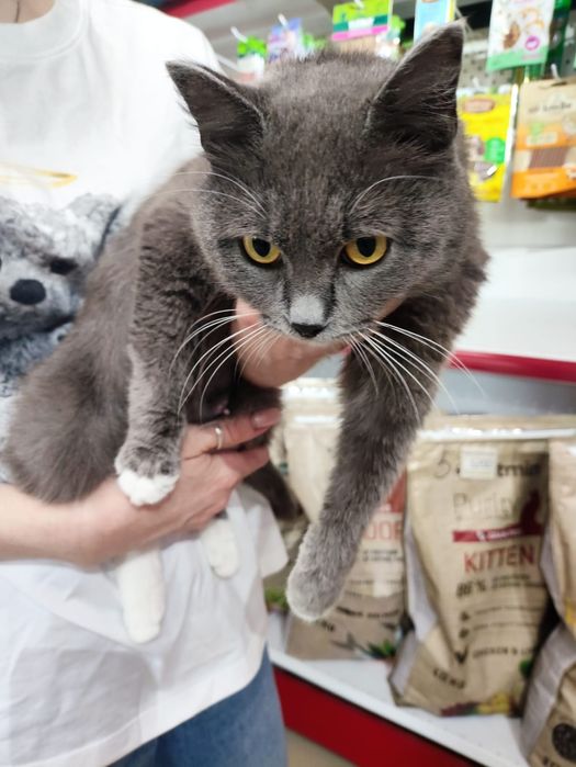 Девочка красотка ищет любящей семью