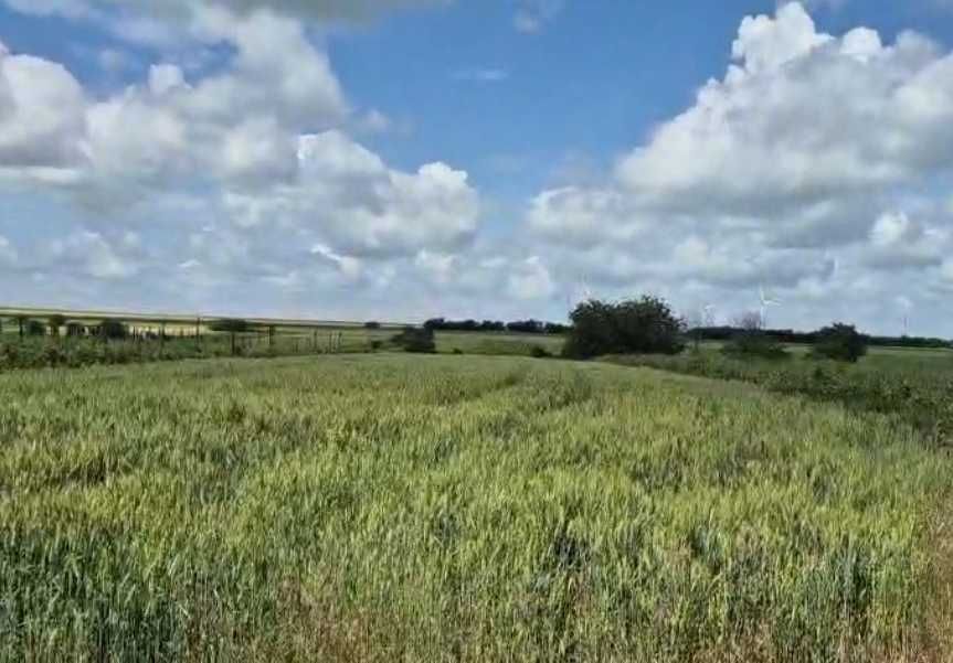 Vand teren Pechea, Galati