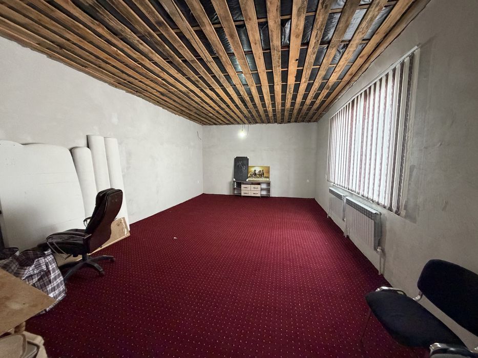 Обмен жылқы, сиыр, туйе