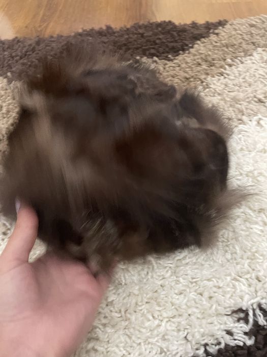 Дамска зимна шапка с косъм