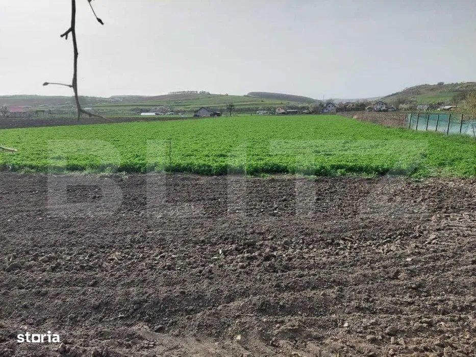 Proprietate cu casa renovabila si anexe, teren 8291 mp, in Iclod