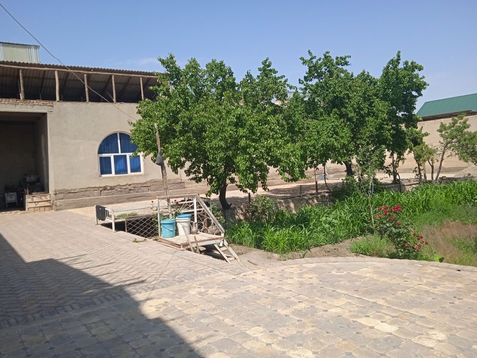 Хонаботда 8 сотокли участка сотилади