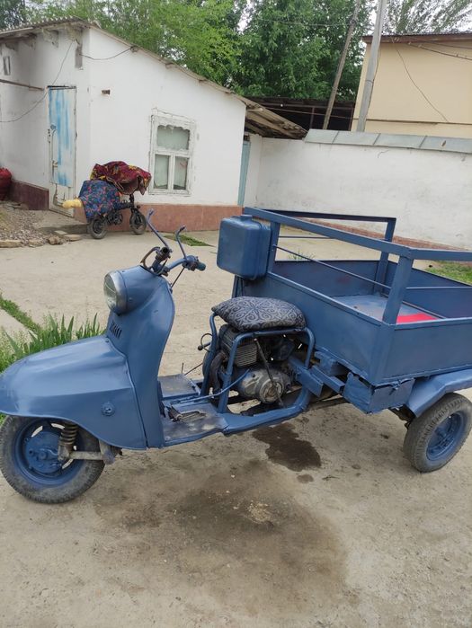 Муравей срочно продаю