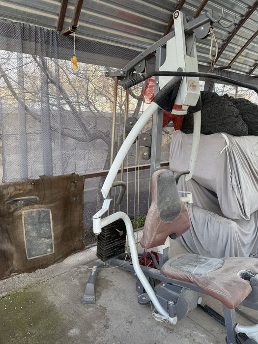 Тренажер 5/1 всё включено