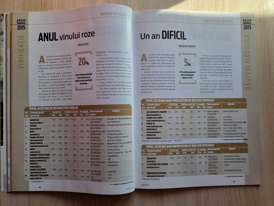 Revista CEI mai MARI JUCATORI din ECONOMIE 2015 - Ziarul Financiar ZF