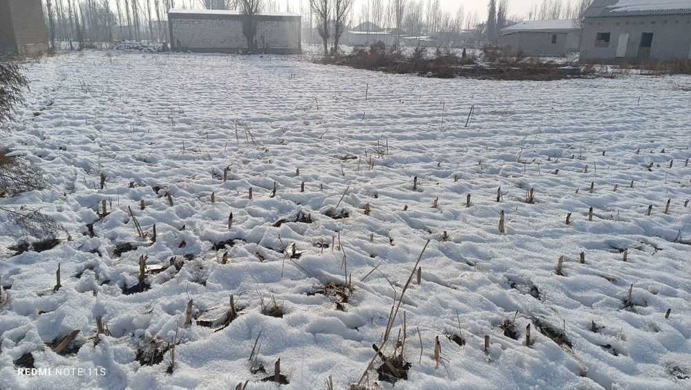 Yer uchaska sotiladi srochna