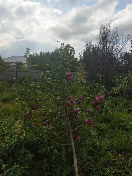 Продам частный дом