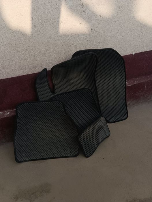 Evakor polik sparkniki