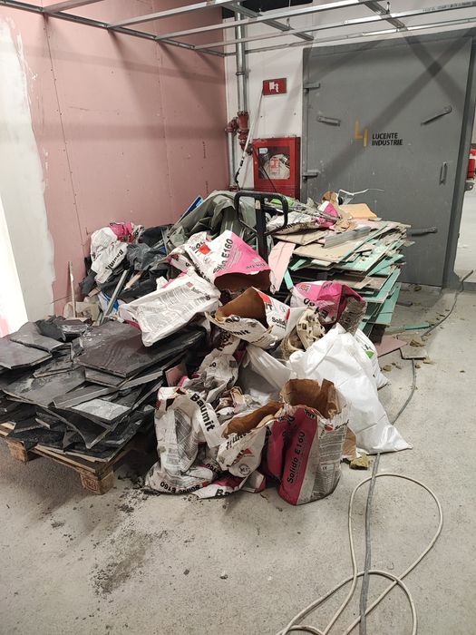 Taiere copacii toaletare debarasare decopertari demolari 24/7