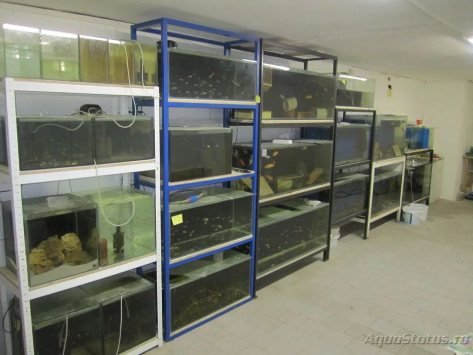 Стеллажи под аквариумы