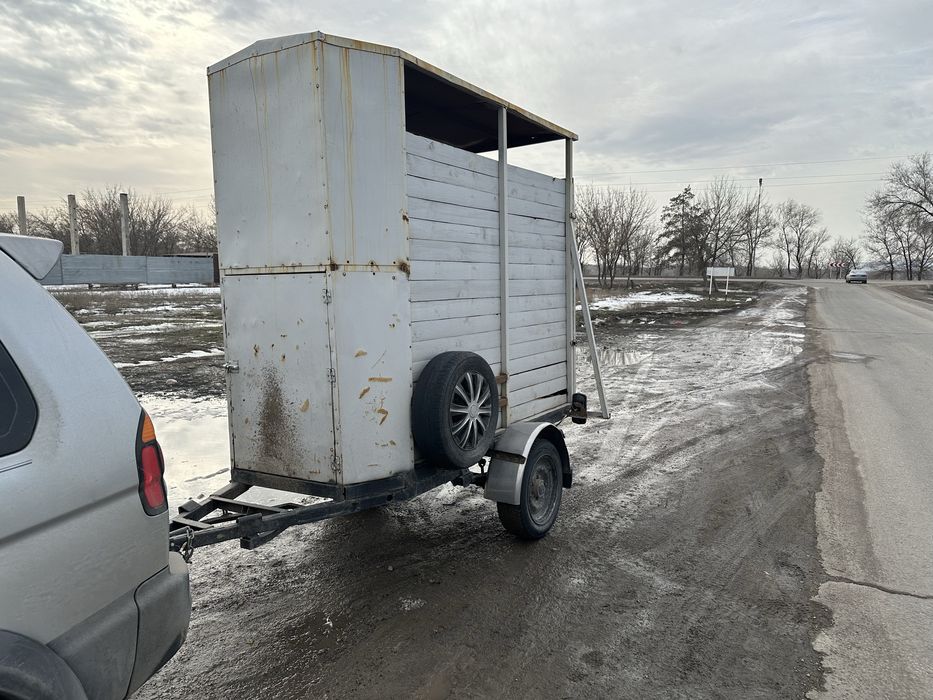 Услуги перевозки скота