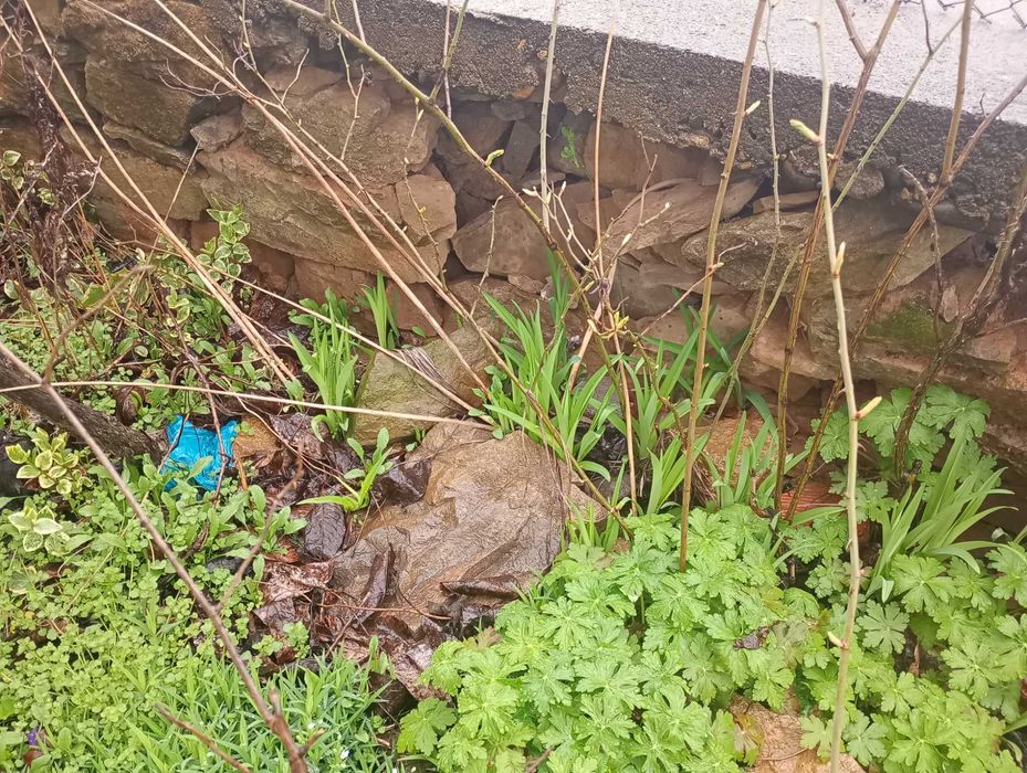 Камък от дувар по договаряне