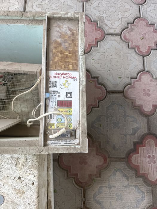 Инкубатор блитц