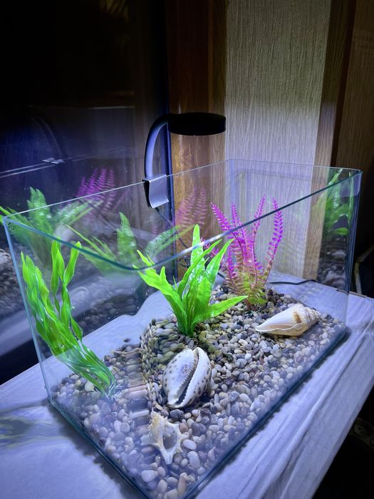 Аквариум 30 литров Новый (комплект)