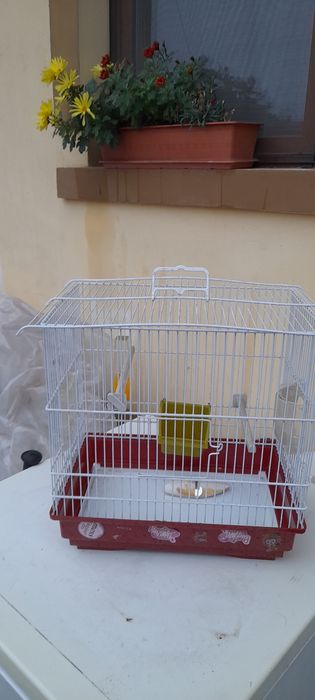 Vând  colivie de  păsări