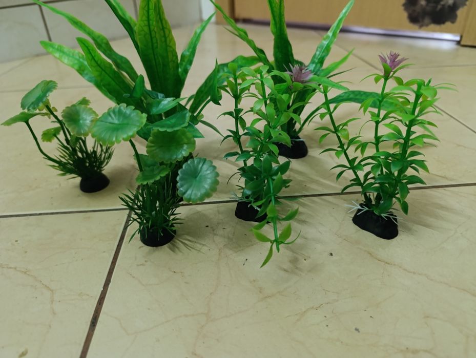 Plante acvariu artificiale și naturale