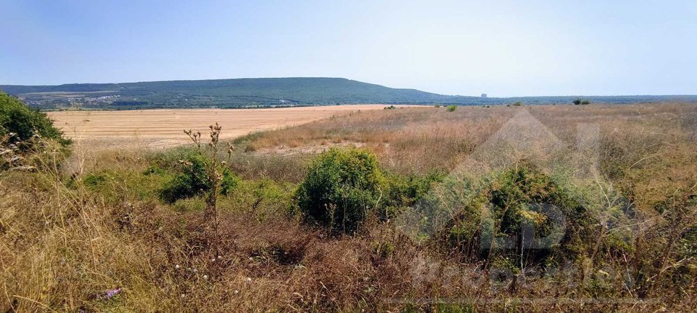 Продава се Парцел в с. Рогачево, Област Добрич - 5000 кв.м за 14 €/кв.м - Снимка #2