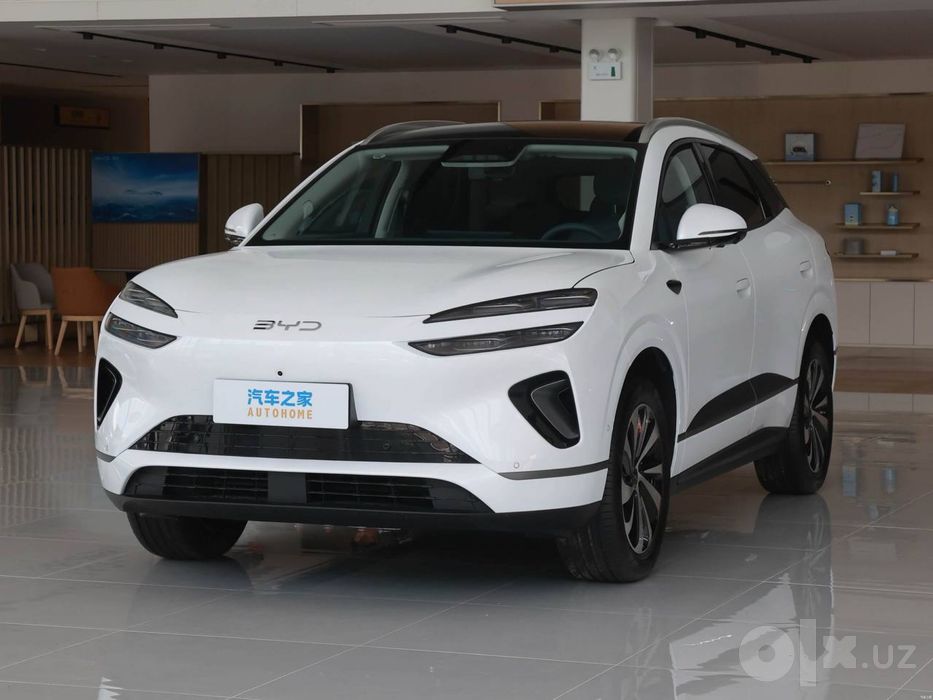 Byd sealion 06 2026