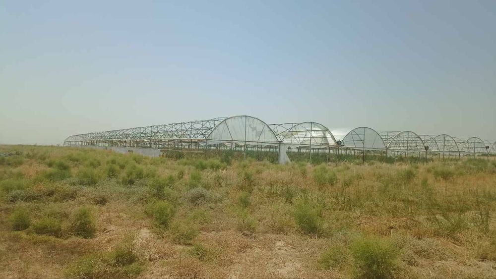 Issiqxona (parnik) materiallari sotiladi