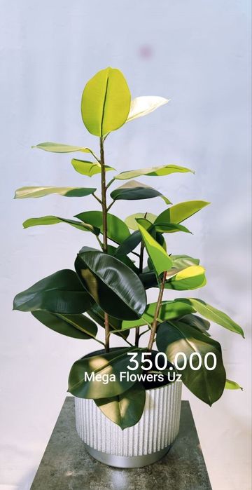 Suniy daraxt va gullar Искусственные цветы и деревья